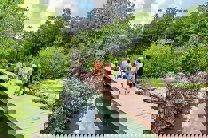 /clients/Rif-Mangrove-Park/Rif-Mangrove-2.jpg